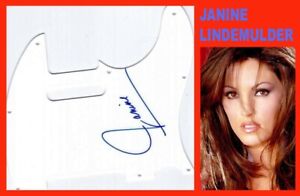 JANINE LINDEMULDER Adult Film Star Autographed Signed Pickguard Pick Guard