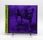 VTG 1995 Alice in Chains by Alice in Chains CD Purple Edition..Read Description
