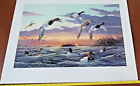Ducks Unlimited Print In the Fast Lane Canvasback Terry Doughty 1999 Signed Art