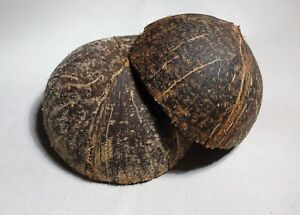 Coconut Shell Natural 100% Eco Friendly Ceylon SHELL COCONUT Bowl Pure Halves