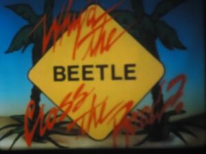 16mm Why Did the Beetle Cross The Road Low Fade Educational Film 400'