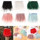 Plumes Ribbon Selvage 1 Meter Long 8-10 CM Wide Ostrich Feathers Trim