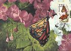 Monarch Butterfly Fauna Wildlife Canada USA Art Mint Illinois Maxi Card FDC 1987