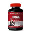 increase muscle size - BCAA 3000mg 1 Bottle - energy supplement 120 Tablets
