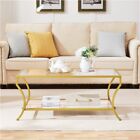 2 Tier Glass Coffee Table Modern Coffee Table with Storage Shelf for Living Room