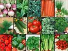 VEGETABLE & HERB Garden Lot ~ 15 Varieties ~ Over 2655 Fresh Seeds