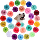 30 Pieces Dog Collar Flowers Accessories Pet Flower Collar Dog Charms Flower Pet