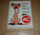 AC Delco GM spark plugs Hot Car for Cool Cat vtg 1970s Drag Racing decal sticker