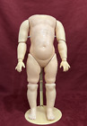 Nice Large Antique German Composition Toddler Doll Body for Bisque Head