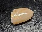 Loose 1.960ct Natural Rough coober pedy Fossil shell Opal piece