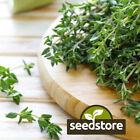 Thyme Seeds | Heirloom - Non-GMO | Free Shipping | Herb Seeds | Seed Store 1160