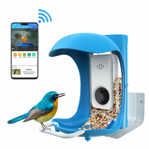 BirdDock Smart Bird Feeder 1080P Camera Wifi App Control AI Reconization (Open)