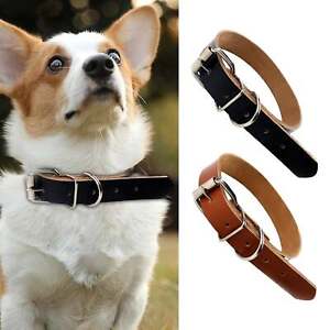 Metal Buckle Leather Dog Collar