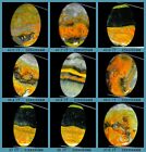 Unheated Indonesian Bumble bee Jasper Loose Gemstone Oval Cabochon Natural