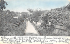 1906 Lovers Lane Sag Harbor LI NY post card with Glitter Highlights