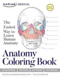 Anatomy Coloring Book - Paperback By McCann, Stephanie - GOOD