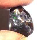 3.65 cts Ethiopian Black Fire Opal 15 x 11 mm Polished Rough Specimen ~zexr300
