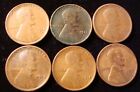 New Listing1910-S 1911-S 1912-S 1913-S 1914-S 1915-S 6 coin early S mint Lincoln cents