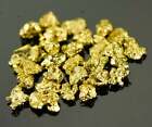 Alaskan Yukon Gold Rush Nuggets 12 Mesh 1 Gram of Fines