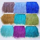 10meters Ostrich Feather Trims Colorful Plume Feathers DIY Sewing Clothes Decors