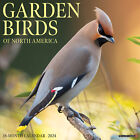 Garden Birds 2024 12
