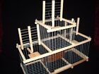 Trap Cage with 3 Traps for birds