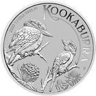 2023 P Australia Platinum Kookaburra 1/10 oz $15 - BU