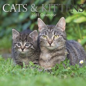 2023 Wall Calendar - Cats & Kittens, 12 x 12 Inch Monthly, 16-Month, Animal