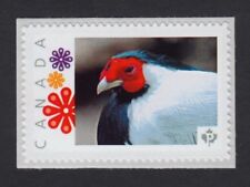 SILVER PHEASANT Exotic Bird =Picture Postage stamp MNH Canada 2015 [p15/12sp2/2]