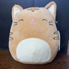 NWT Original Squishmallows Nathan the Tabby Cat 8 inch Plush Toy - Brown 2020