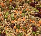 PARROT SPROUTING MIX Parrot Food Mix Parrot Grains Mix Legumes for all parrots