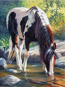DIY 5D Complete Diamond Painting Kit Horse Drinking 20x30cm (7.9x11in)