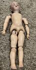 Antique GERMAN H Handwerck Composition Ball Jointed Doll Body PARTS 18