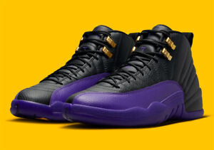 Nike Air Jordan 12 Retro Shoes Field Purple Black CT8013-057 Men's or GS NEW