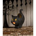 Bethany Lowe - Halloween - Scaredy Sassy Cat Bucket - TJ1335