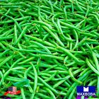 Bean Seeds - Bush - Jade Non-GMO / Heirloom / Vegetable Garden Fresh