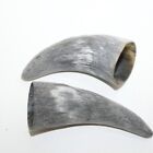 New Listing2 Raw Unfinished Cow Horn Tips #8814 Natural colored