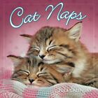Sellers Publishing,  Cat Naps 2024 Mini Wall Calendar