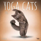 Browntrout Yoga Cats OFFICIAL 2024 12 x 12 Wall Calendar w