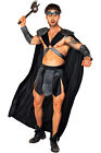 Roma Valiant Gladiator Adult Men Costume Roman 5087 sz Large