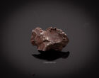 Sikhote-Alin Meteorite 15.1g                               2079