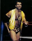 Razor Ramon 8x10 Photo Picture WWE Scott Hall WWF WCW TNA Pro Wrestling Legend