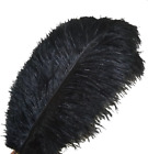 10Pcs Ostrich Feathers 12-14Inch(30-35Cm) for Home Wedding Decoration(Black)