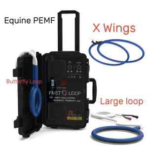 Equine PEMF Machine PMST LOOP Magnetic Physiotherapy for Horse Pain Relief