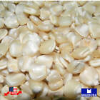 Corn Fresh Seeds Dent Hickory King White Non-GMO Heirloom Vegetable