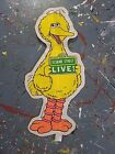 Vintage 1981 Sesame Street Live childrens Felt Pennant Big Bird
