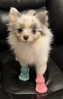 Brand New Mission Pets PUP CREW Socks for Dogs Puppies Cats Mult Sizes XS S M L