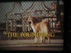 16mm The Foundling  Low Fade 800' Children's Story