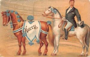 HARRY HOUDINI (?) HORSES POSTCARD (c. 1905)