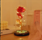 Enchanted Forever Rose Flower In Dome  LED Night Light Valentine's Gift